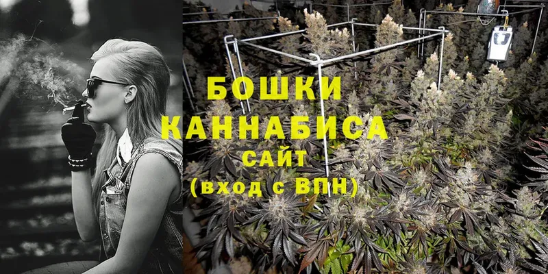 наркошоп  Лесной  МАРИХУАНА Ganja 